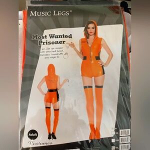 Most Wanted Prisoner costume